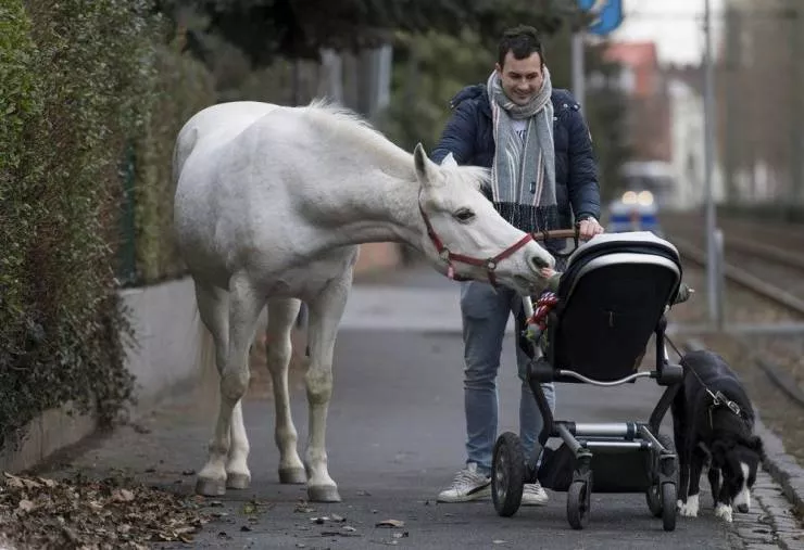 Picdump 549 - #40 