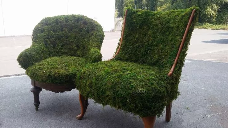 Picdump 549 - #62 
