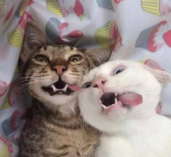 Picdump 549 - #64 