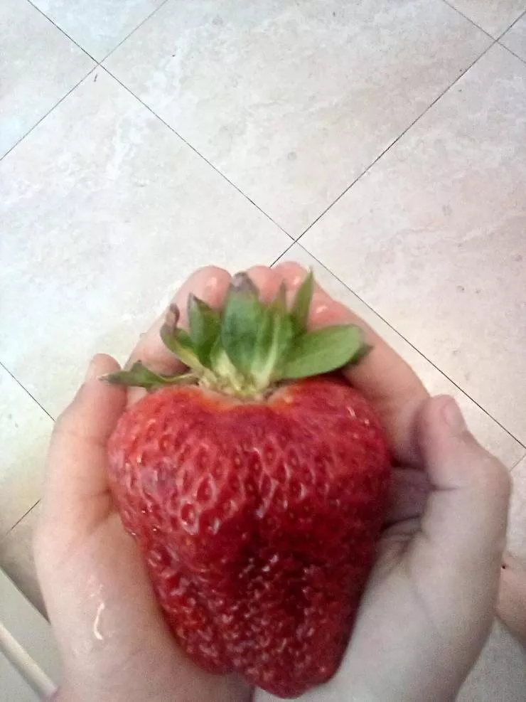 Picdump 549 - #66 