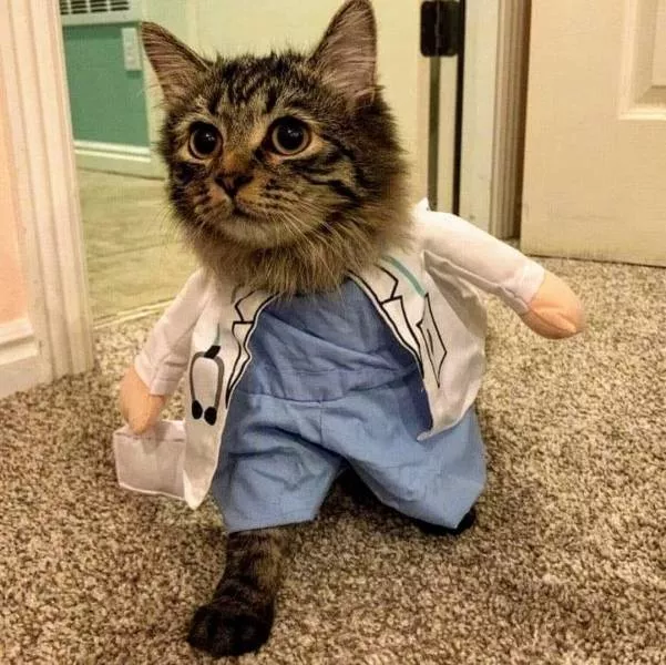 Picdump 549 - #7 