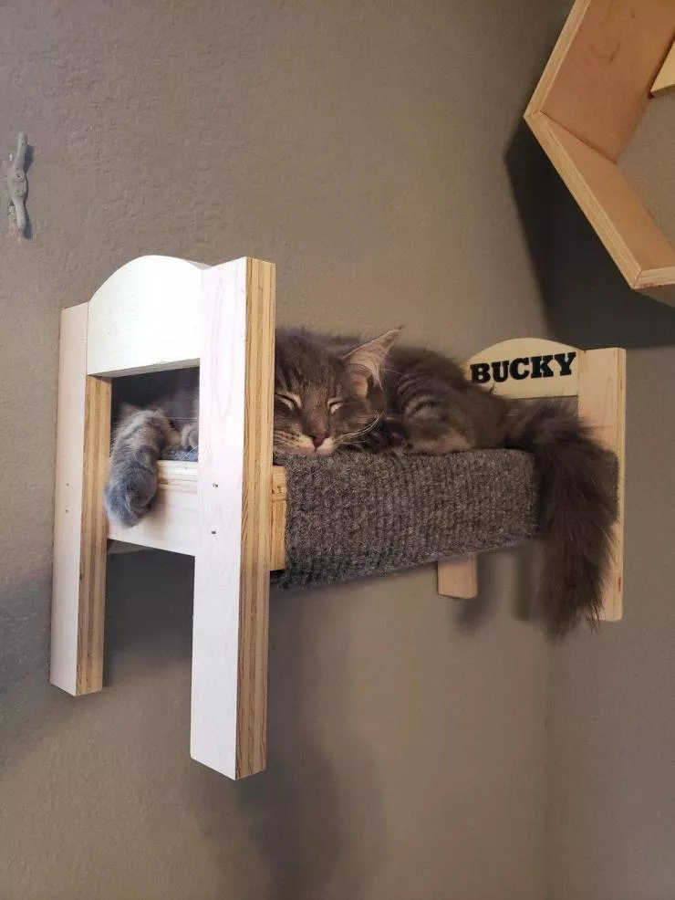 Picdump 549 - #70 