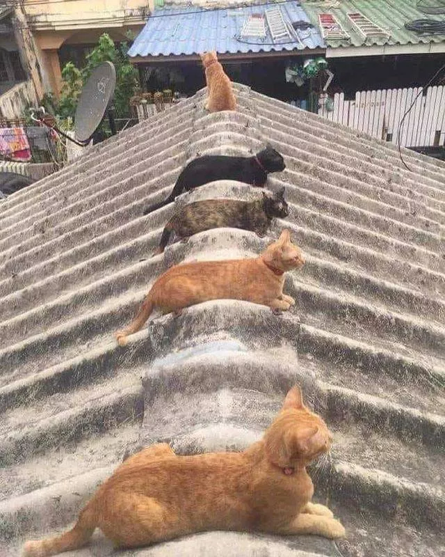 Picdump 549 - #75 