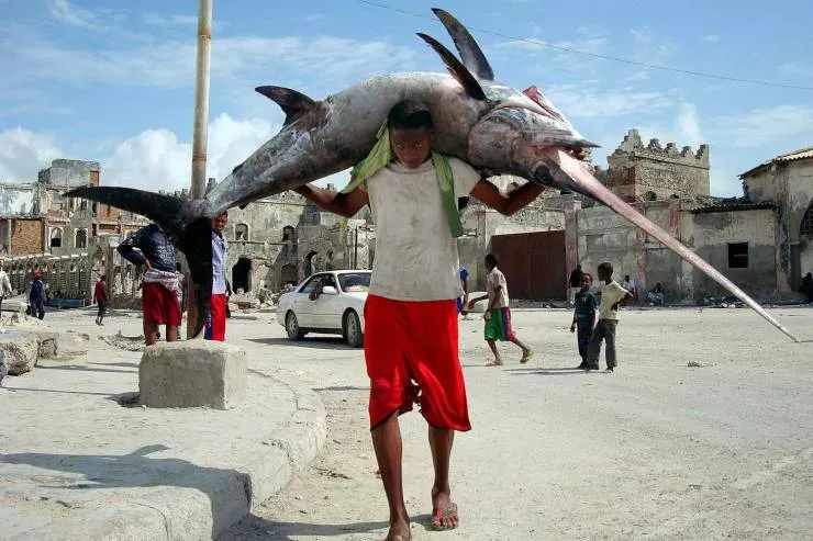 Picdump 549 - #76 