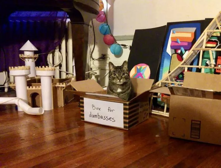Picdump 549 - #77 