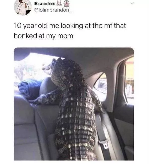 Common childhood experiences - #8 