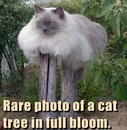 Picdump 550 - #10 