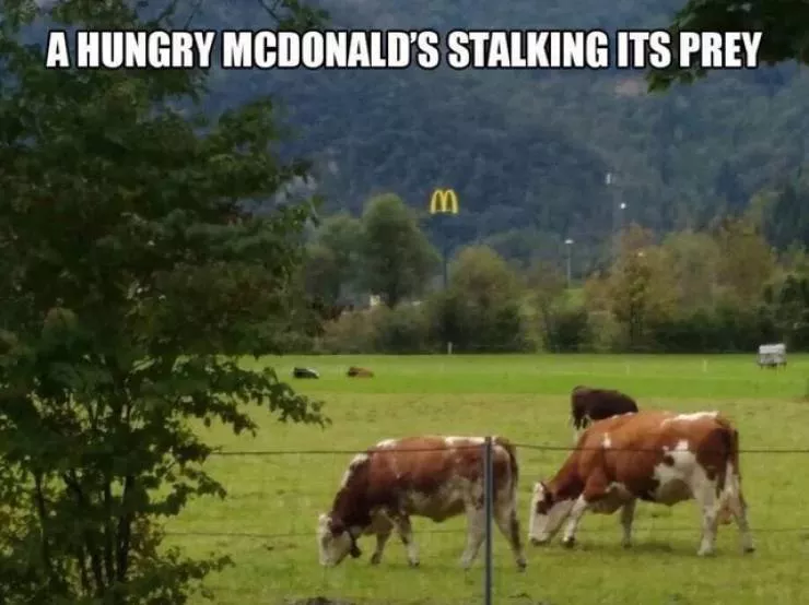 Picdump 550 - #24 