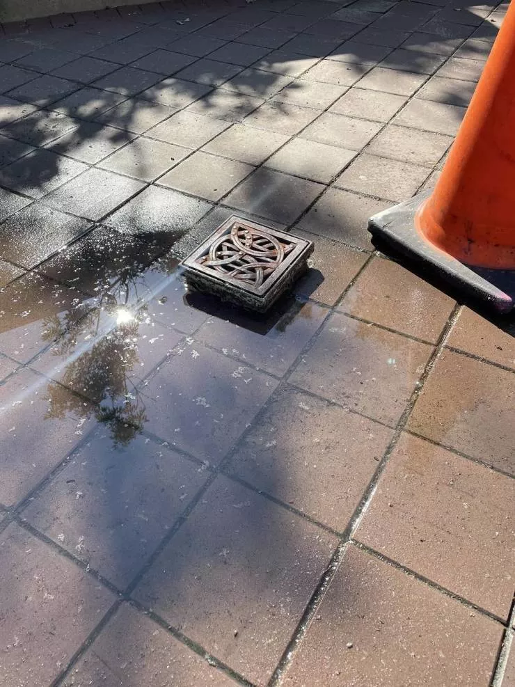Picdump 551 - #15 