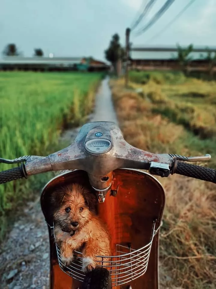 Unique photos a gallery of surprises - #18 