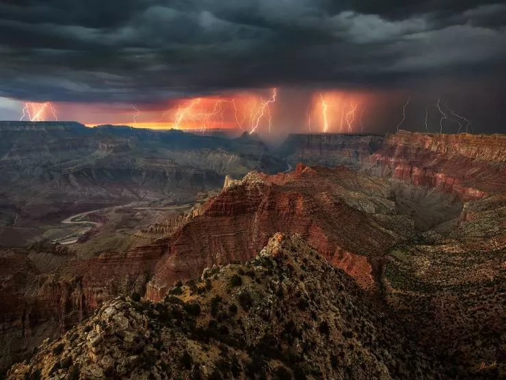 Unique photos a gallery of surprises - #23 