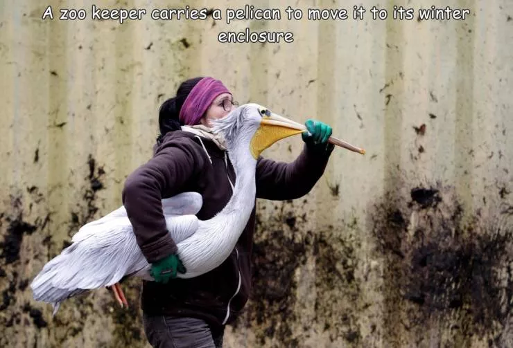 Unique photos a gallery of surprises - #28 