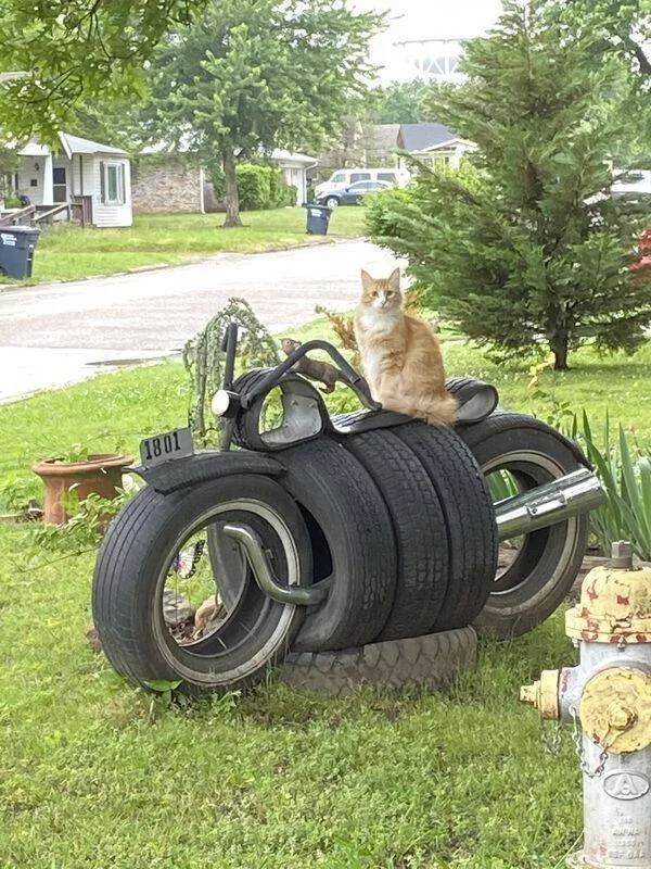 Picdump 552 - #18 