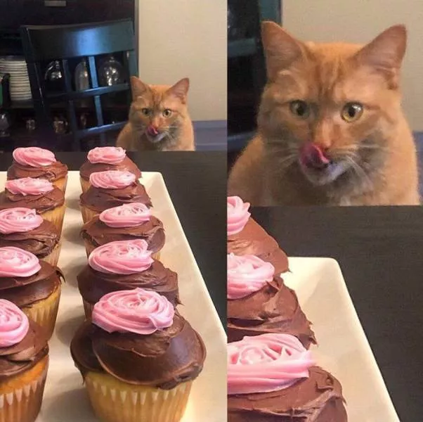 Picdump 552 - #25 