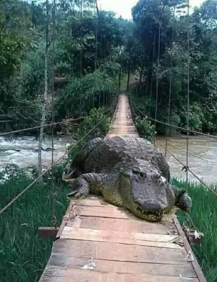 Picdump 552 - #30 
