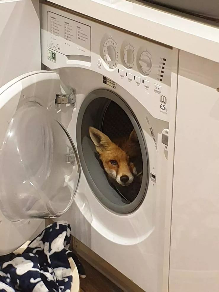 Picdump 552 - #31 