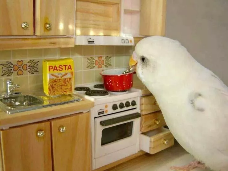 Picdump 552 - #38 