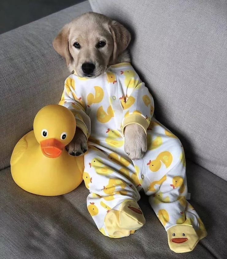 Picdump 552
