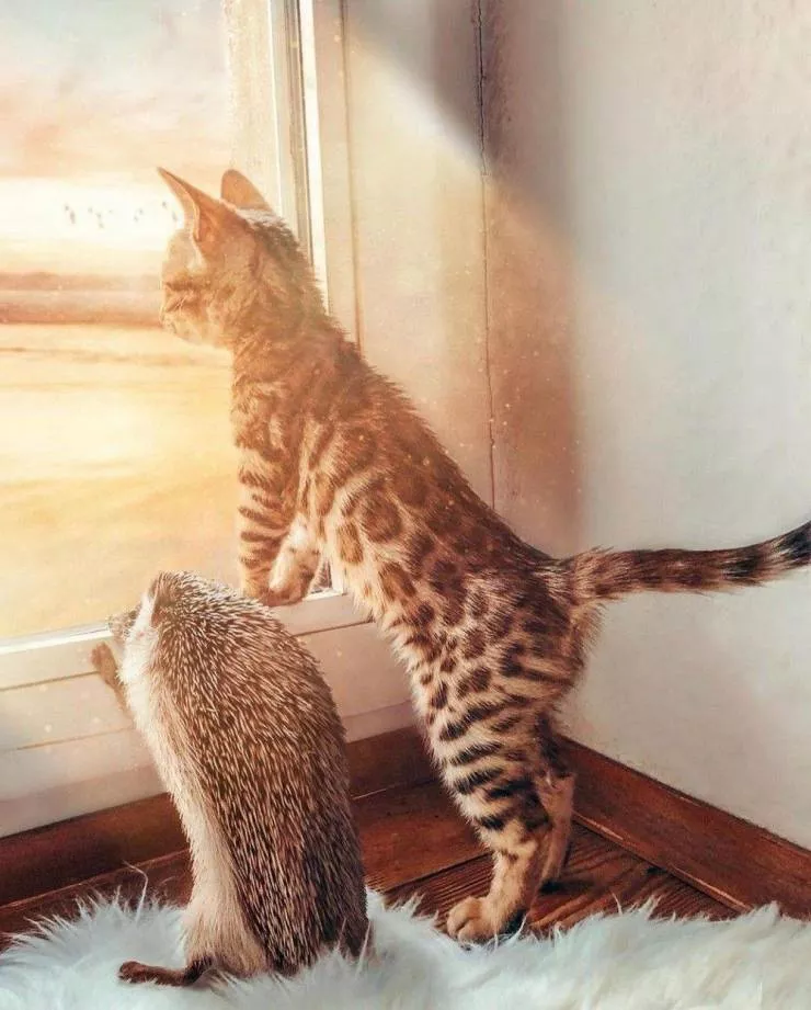 Picdump 552 - #45 