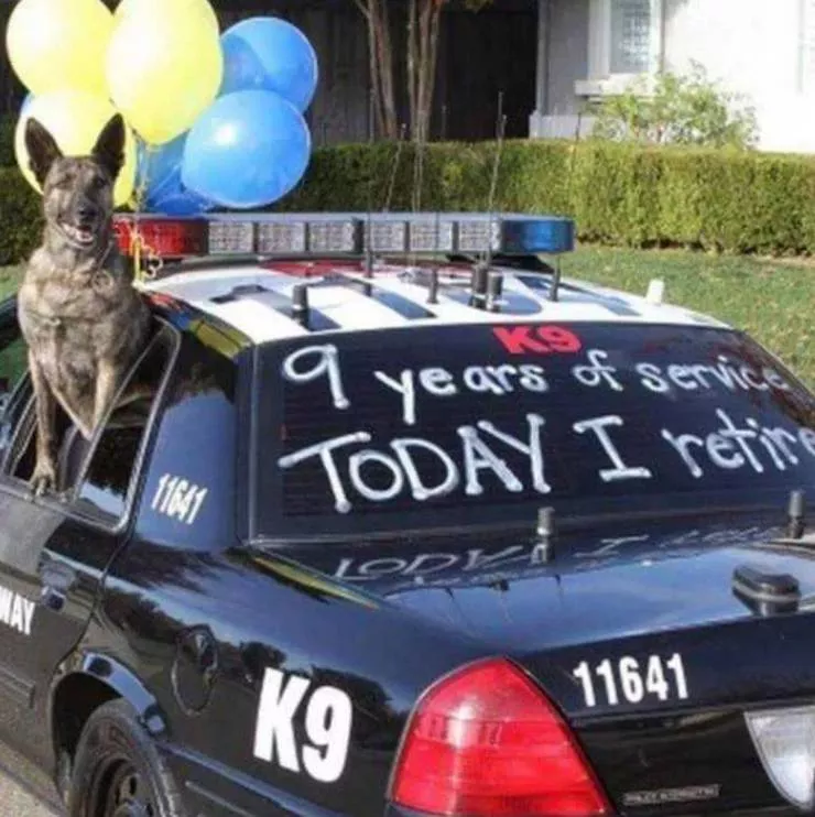 Picdump 552 - #64 