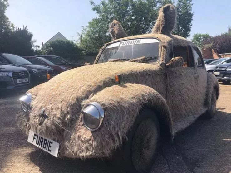 Picdump 552 - #7 