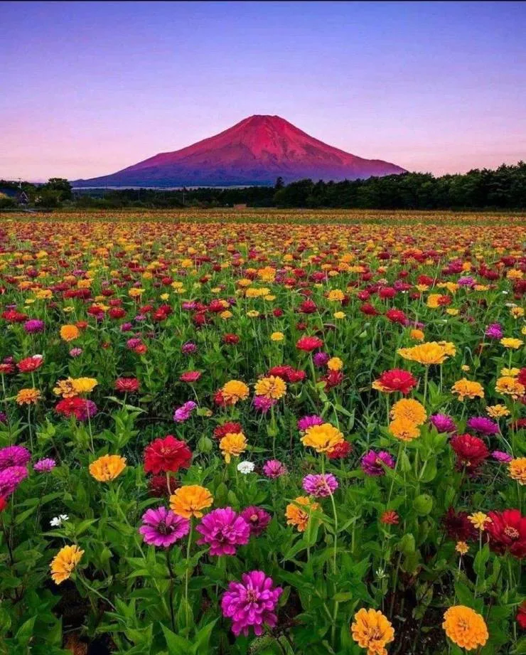 Images that speak - #13 