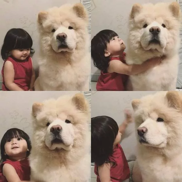 Images that speak - #19 