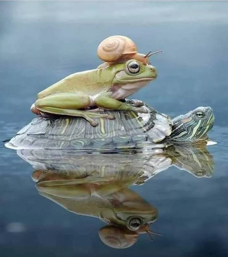 Images that speak - #35 