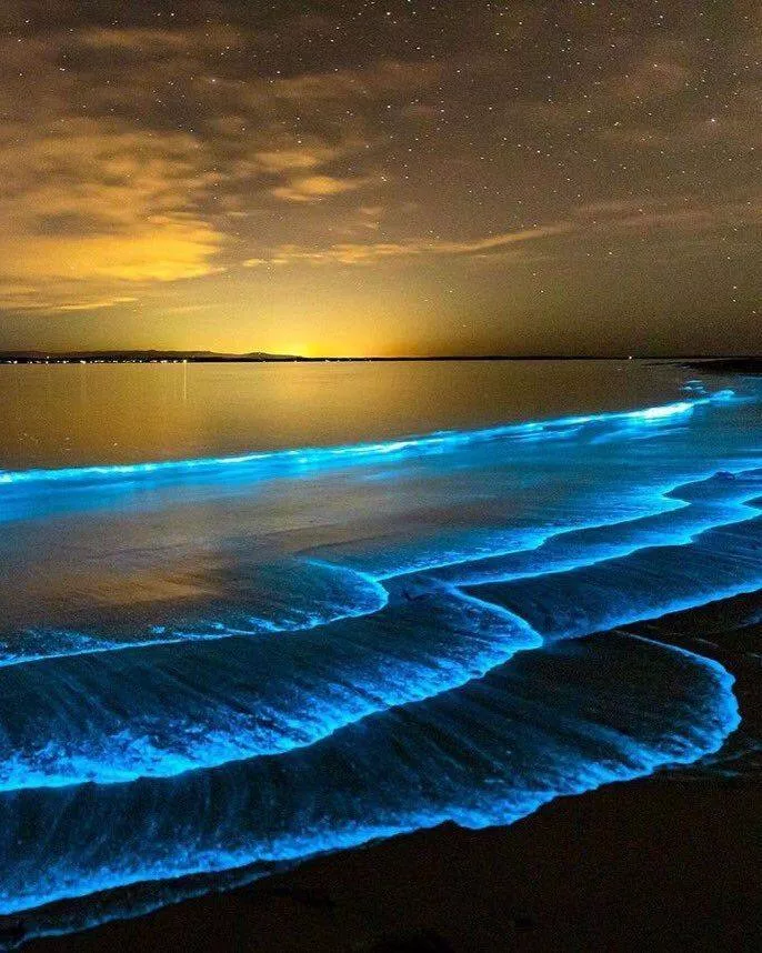 Images that speak - #36 