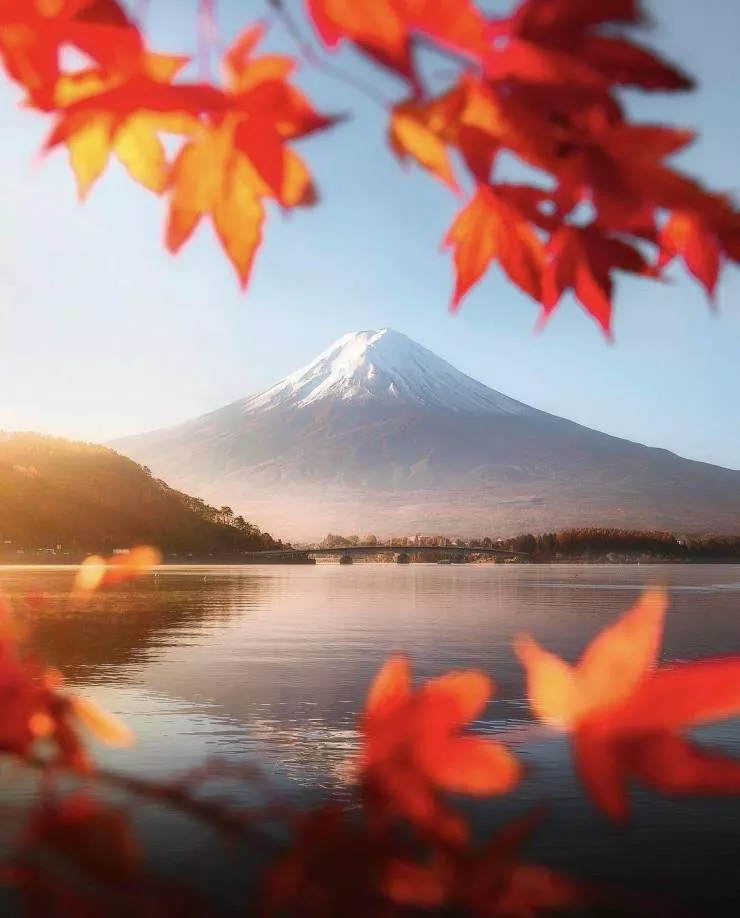 Images that speak - #6 