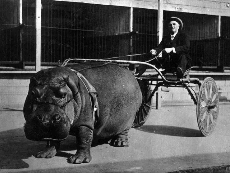 Picdump 554 - #15 
