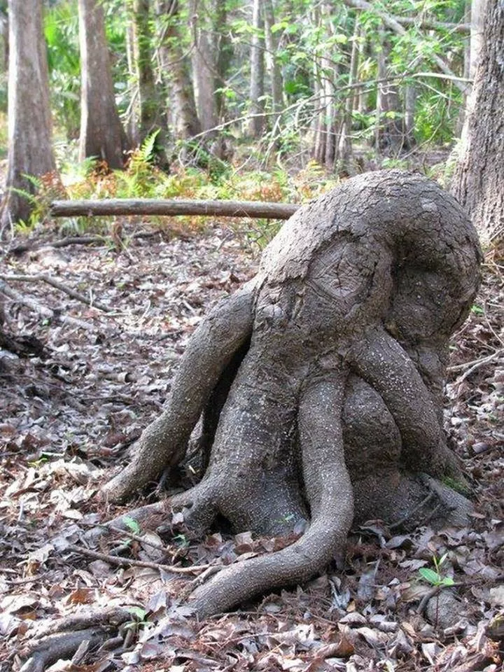 Picdump 554 - #26 