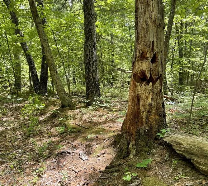 Picdump 554 - #49 