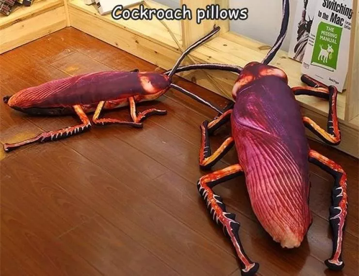 Picdump 554 - #8 