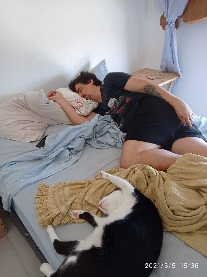 The cat break - #29 