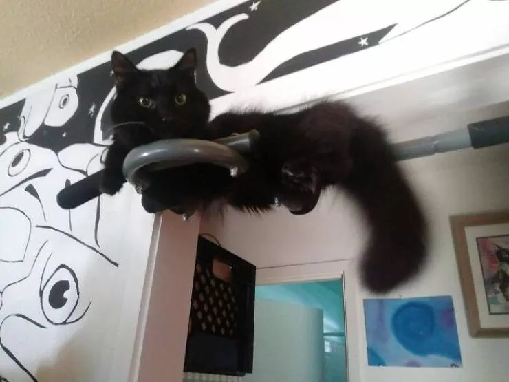 The cat break - #34 