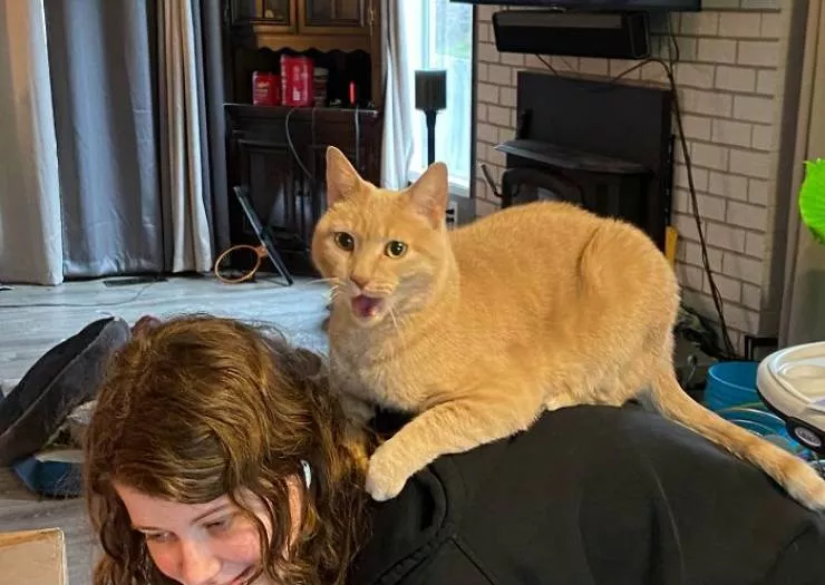 The cat break - #38 