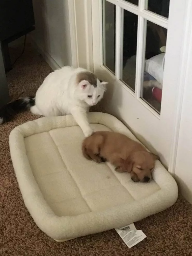 Picdump 555 - #24  Picdump 555 - #24