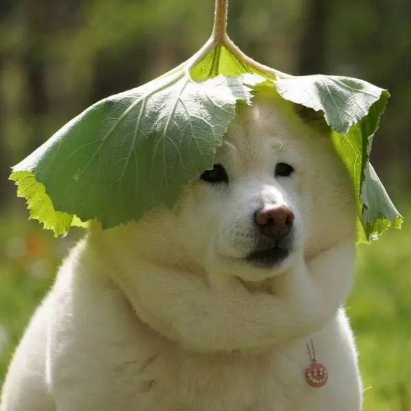 Picdump 555 - #34  Picdump 555 - #34