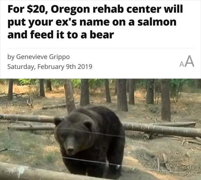 We dont see that every day - #10 