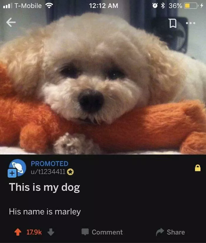 We dont see that every day - #31 