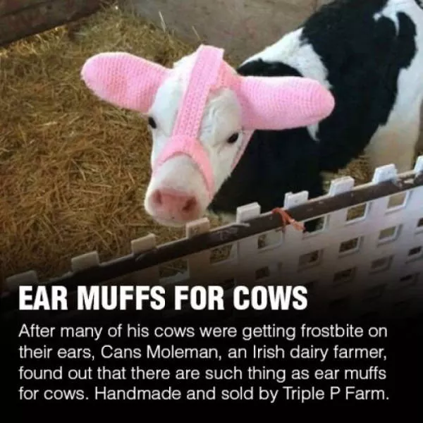 We dont see that every day - #4 