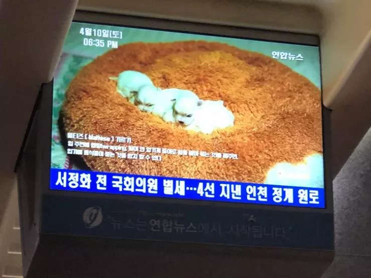 South korea future is here - #16 