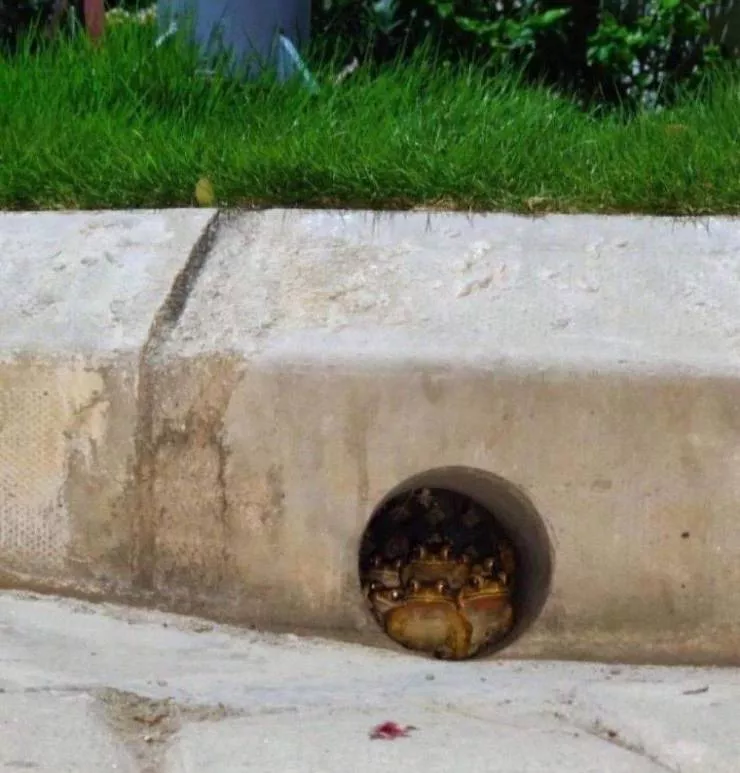 Picdump 558 - #38 