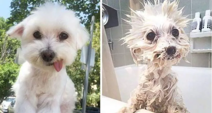 Picdump 561 - #12 