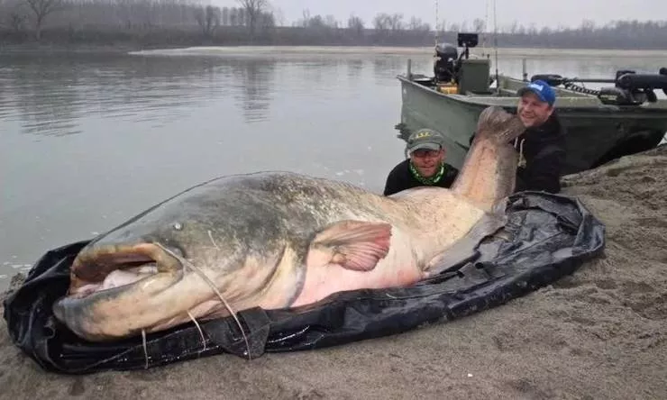 Picdump 561 - #18 