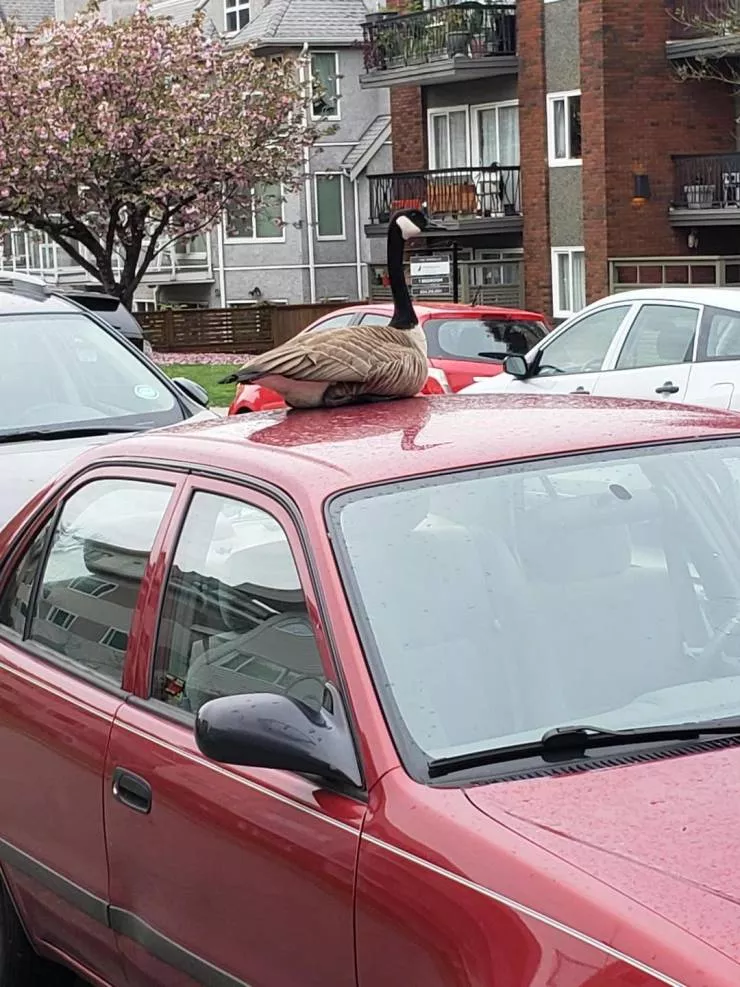 Picdump 561 - #20 