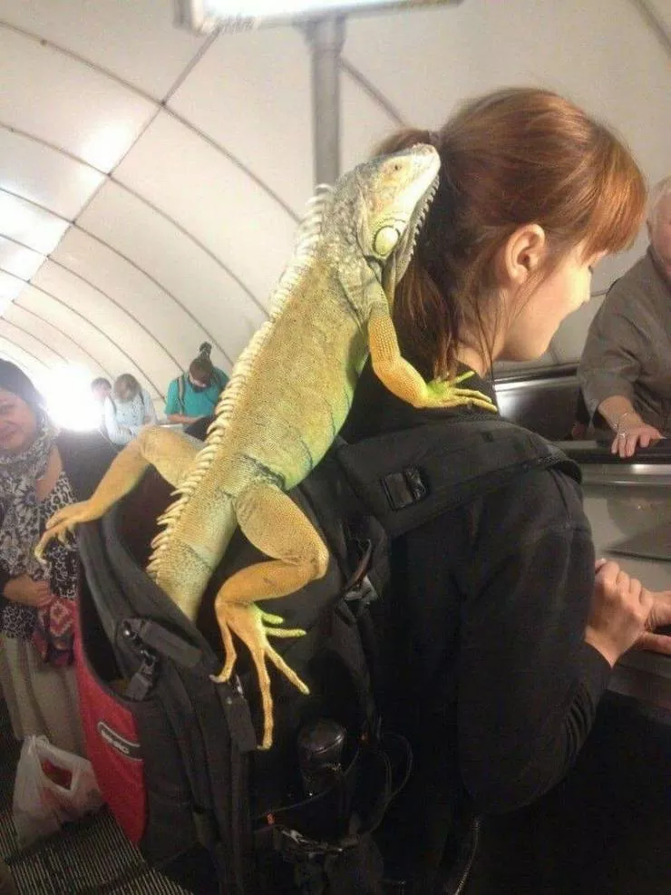 Picdump 561 - #34 