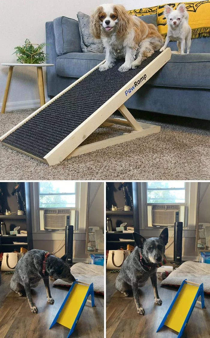 Online shopping surprises - #11 