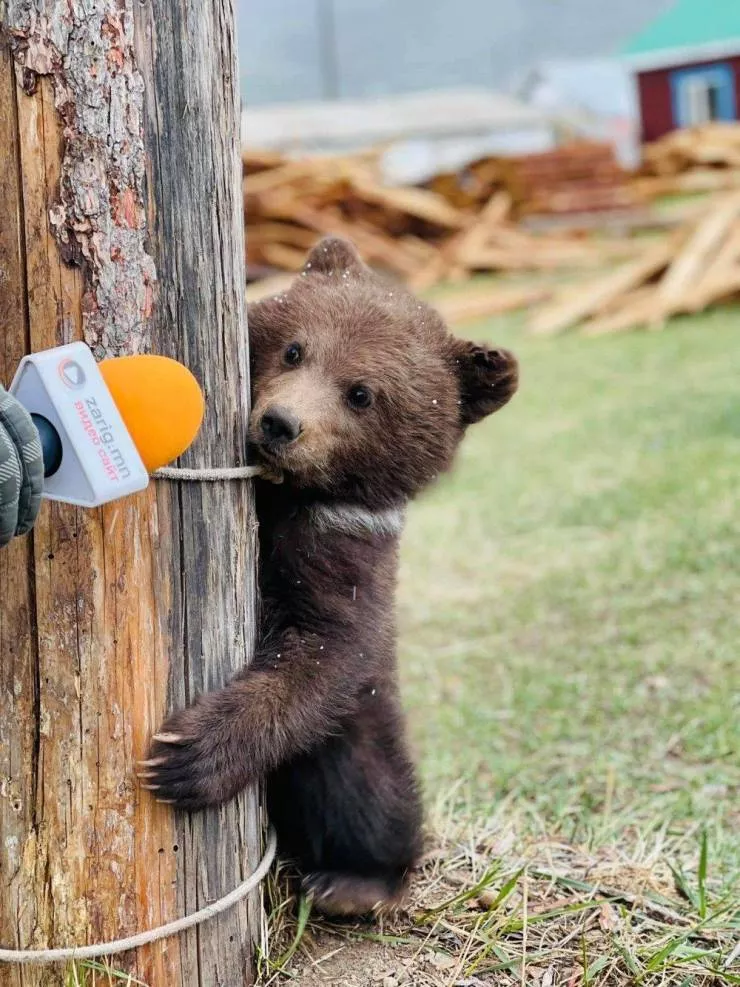 Picdump 562 - #16 